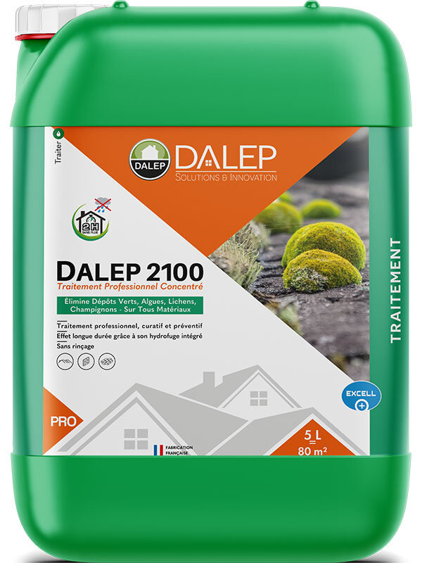 Bidon de traitement anti-mousse professionnel Dalep 2100
