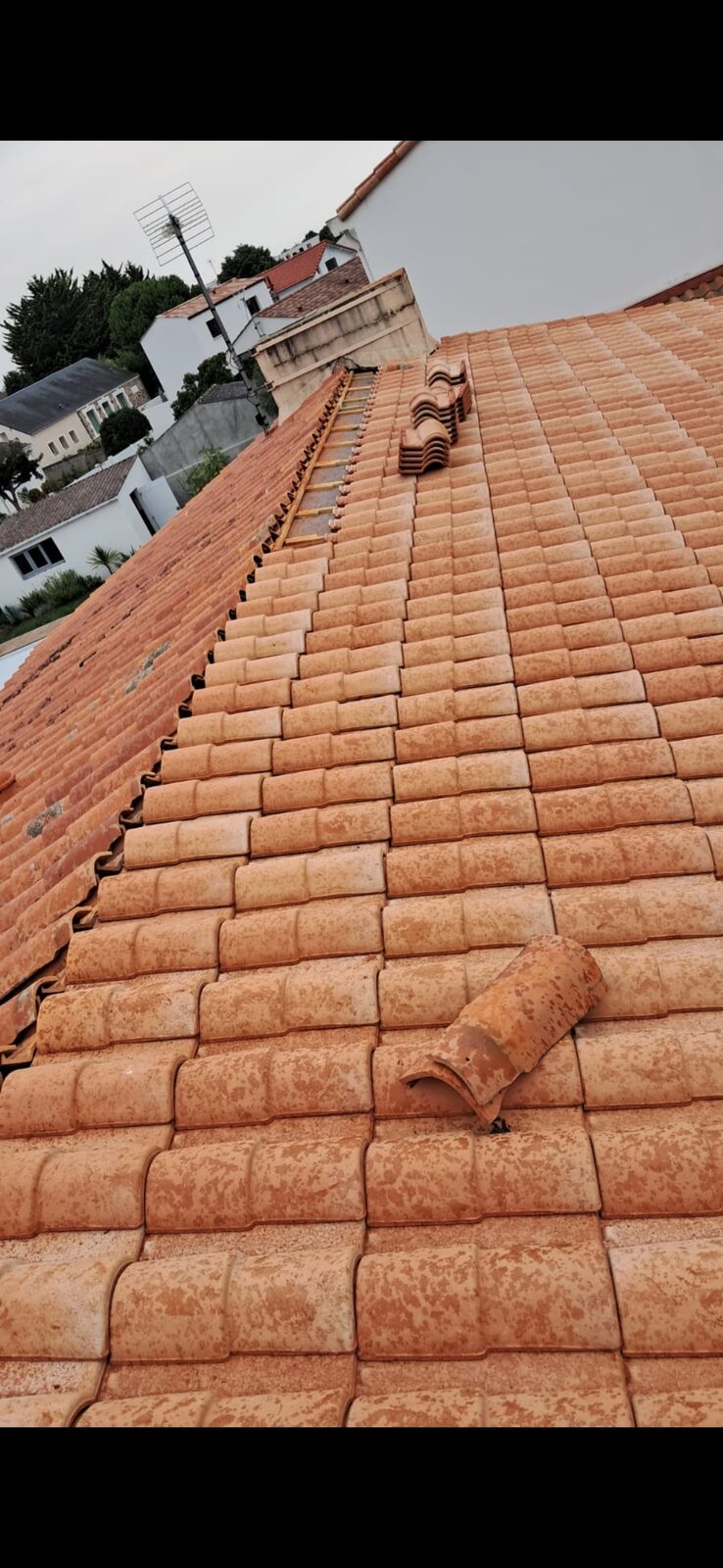Démoussage de toiture en tuiles